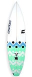 alquiler tablas Surf resina